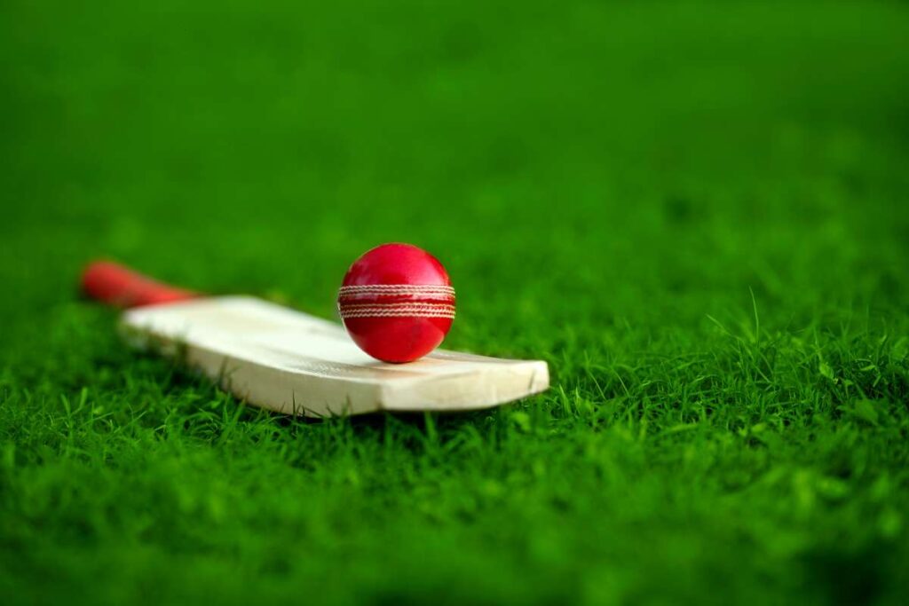 leather Cricket ball resting on a cricket bat placed on green grass cricket ground pitch